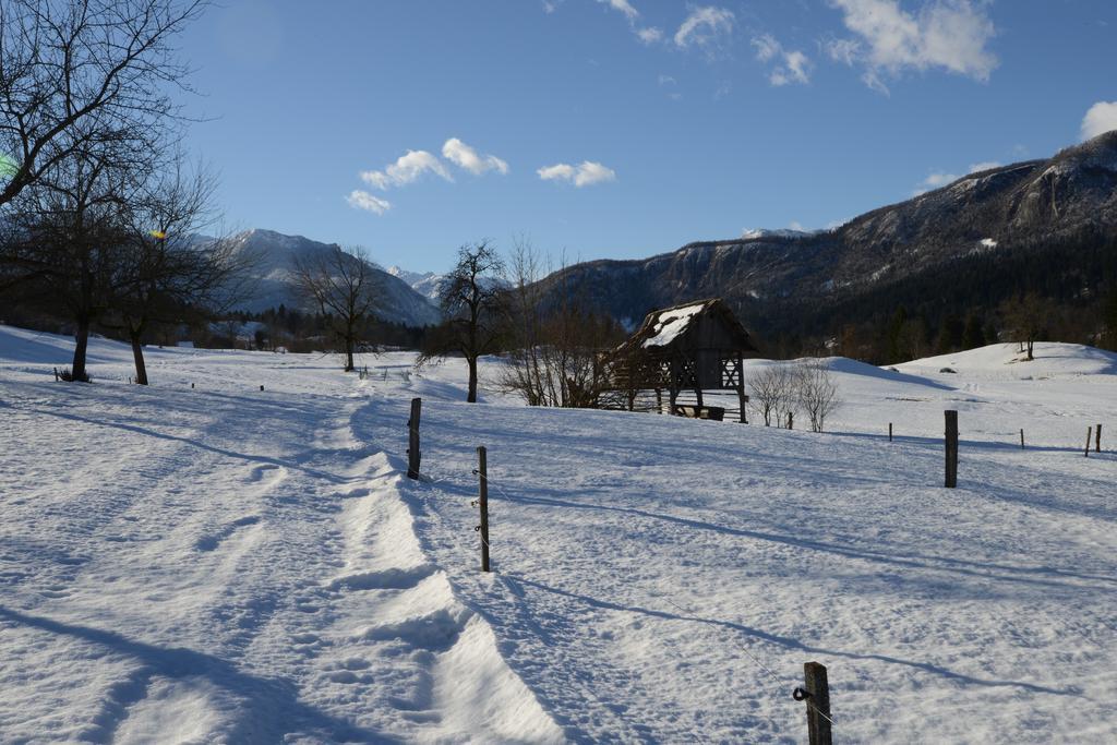 Apartment Dijak Bohinj Eksteriør billede