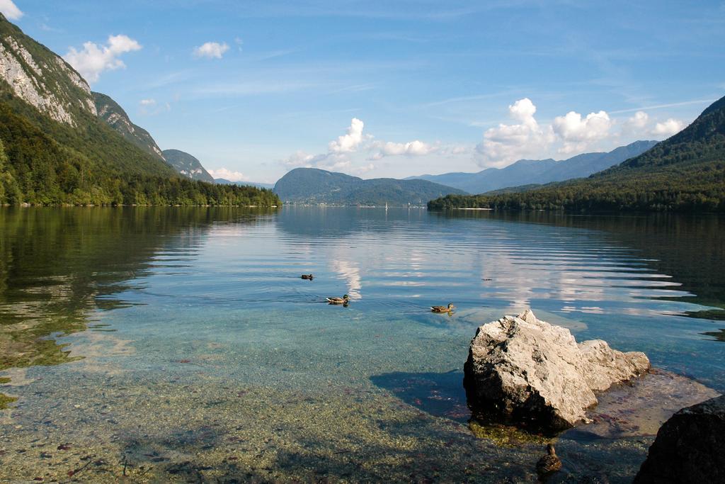 Apartment Dijak Bohinj Eksteriør billede