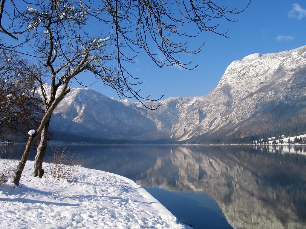 Apartment Dijak Bohinj Eksteriør billede